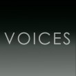 CICA 미술관 국제전 Voices 2025 작가 모집